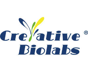 Advancing Research with Ethical Precision: Creative Biolabs' NHP Biological Samples